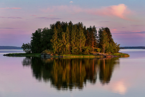Красота лесов Карелии 