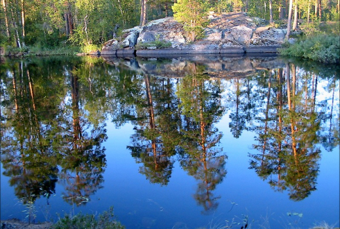 Красота лесов Карелии