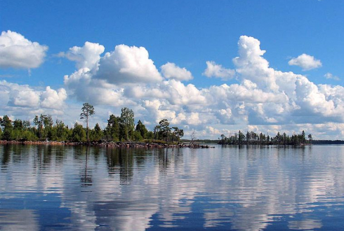Красота лесов Карелии 